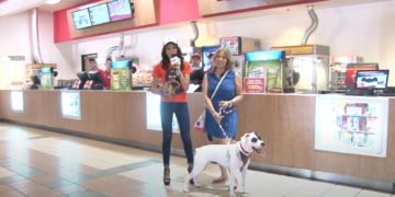 EL CAFECITO DE LA MAÑANA REPORTAJE VALERIA PRIMER CINEMASCOTAS 2016