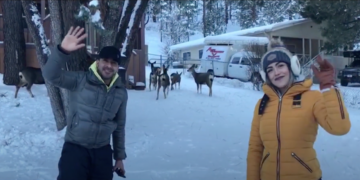 EL CAFECITO DE LA MAÑANA REPORTAJE RUIDOSO, NUEVO MEXICO PEPE BARBOSA